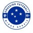 Cruzeiro futebol 7